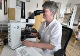 Pacienta neznáme, jeho diagnózu ano. Práce na patologii je jako laboratorní detektivka.